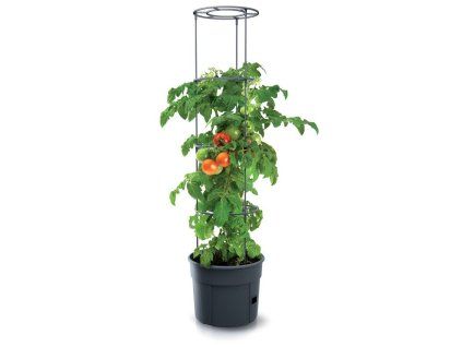 3503545 2 kvetinac na pestovani rajcat tomato grower antracit 29 5cm max vyska 115 2cm