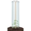 3508361 pestebni set foliovnik pro tomato grower cap 38 5cm 1