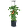 3508361 3 kvetinac prosperplast tomato grower na pestovani rajcat 29 5 cm antracit