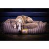 CROCODOG STRIPED PET BED