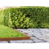 Acélszegély Easyfix 10 x 240 cm, corten