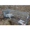 3545437 6 profesionalni past na lisky kuny a kocky trap st105x34x42
